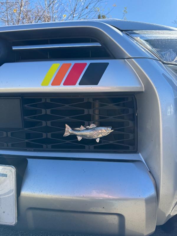 Taco Vinyl 4 Wave Decal - Customer Photo From Sean Rabatin