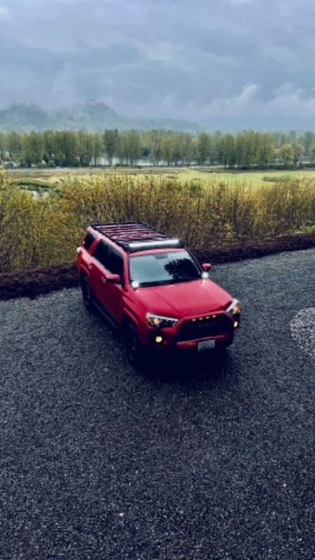 Cali Raised 4Runner Low Profile Ditch Light Combo (2010-2021) - Customer Photo From Dylan B.