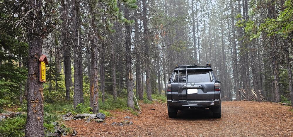 C4 Fabrication Summit Hatch Ladder For 4Runner (2010-2024) - Customer Photo From Amy