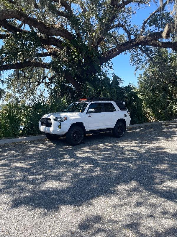 Baja Designs Squadron 4Runner Ditch Light Kit - Customer Photo From Israel A.