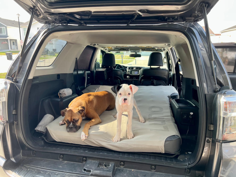 Luno Air Mattress 2.0 For 4Runner (2010-2023) - Customer Photo From Mindy S.