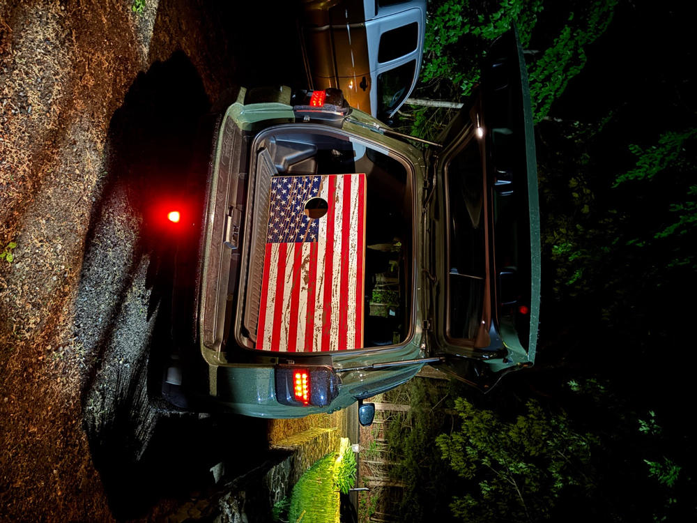 Diode Dynamics HitchMount LED Pod Reverse Kit For 4Runner (2010-2025) - Customer Photo From Thea Hanley