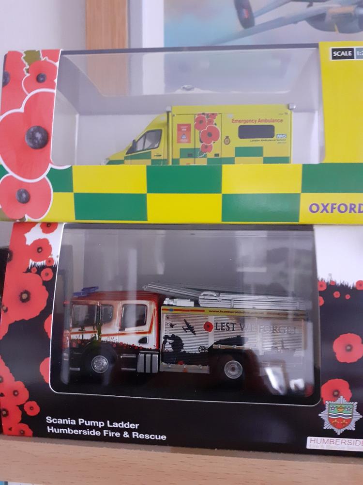 Mercedes Ambulance London Ambulance Service(Remembrance Day) - Customer Photo From Darren Webster