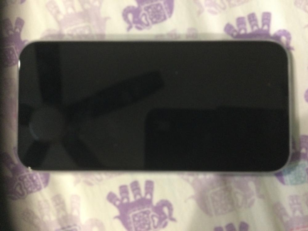 iPhone 13 Pro Peel Glass Screen Protector - Customer Photo From Ricardo R Guerrs