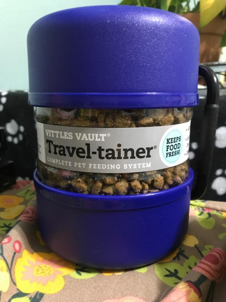 Travel tainer 2024