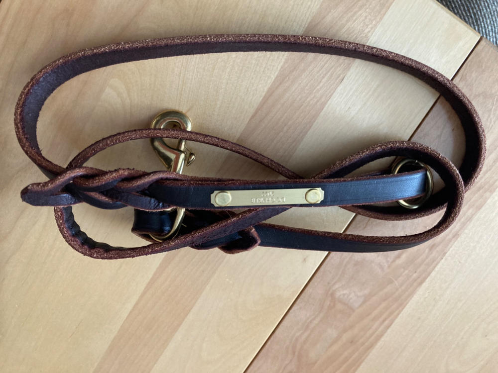 Signature k9 2024 leather leash