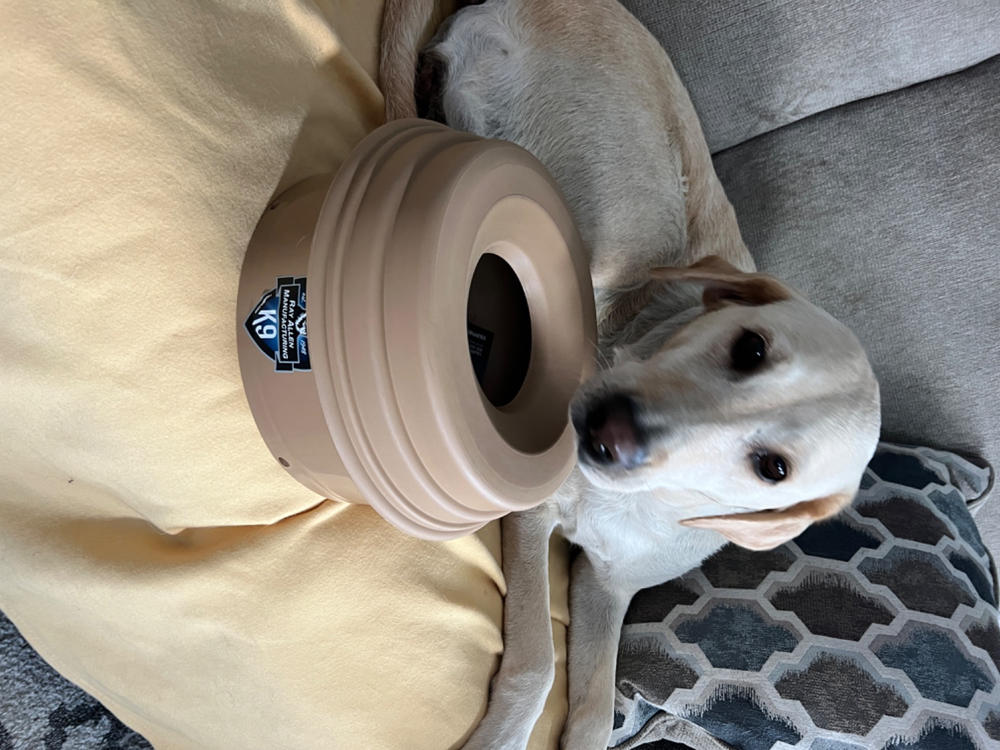 Buddy Bowl - How to keep water available for pets on a boat