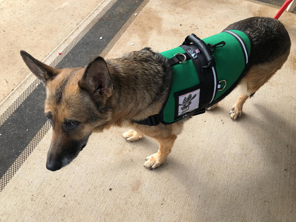 Service dog outlet harness for sale