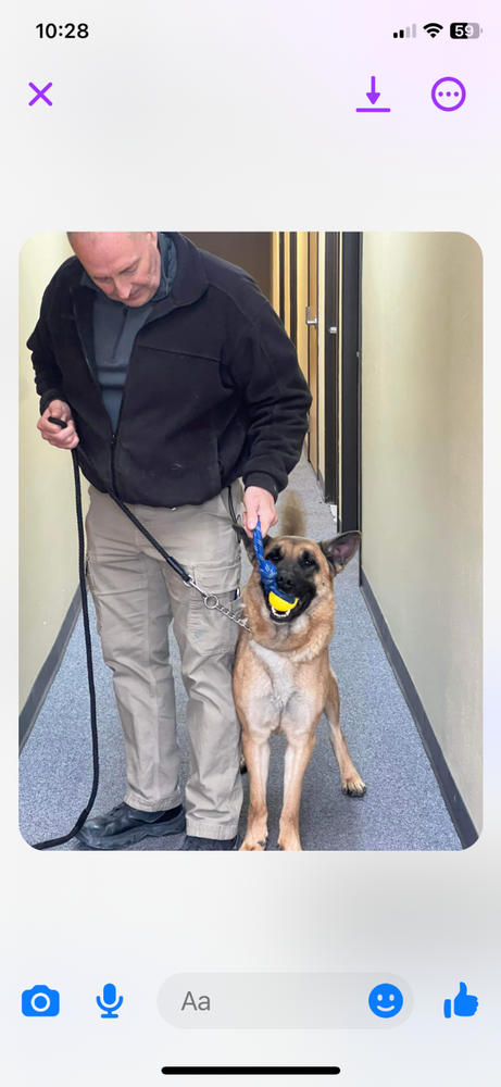 SOKKS Explosive Scent Detection Training Aid Ray Allen Manufacturing