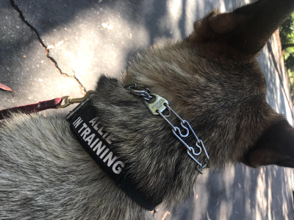 Pinch Collar Metal Dog Training Collars Dog Prong Pinch Collar