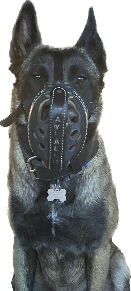 Leather Muzzle Replacement Head Strap Buckle