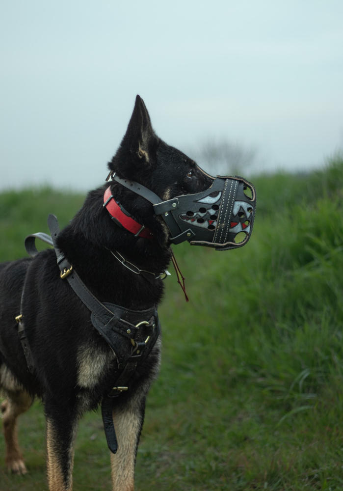 Leather Muzzle Replacement Head Strap Buckle