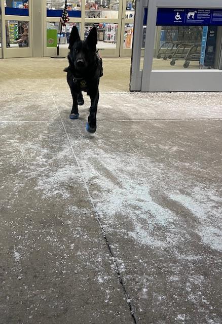 Ruffwear Polar Trex™ Winter Dog Boots | K9 Paw Protection | Cold