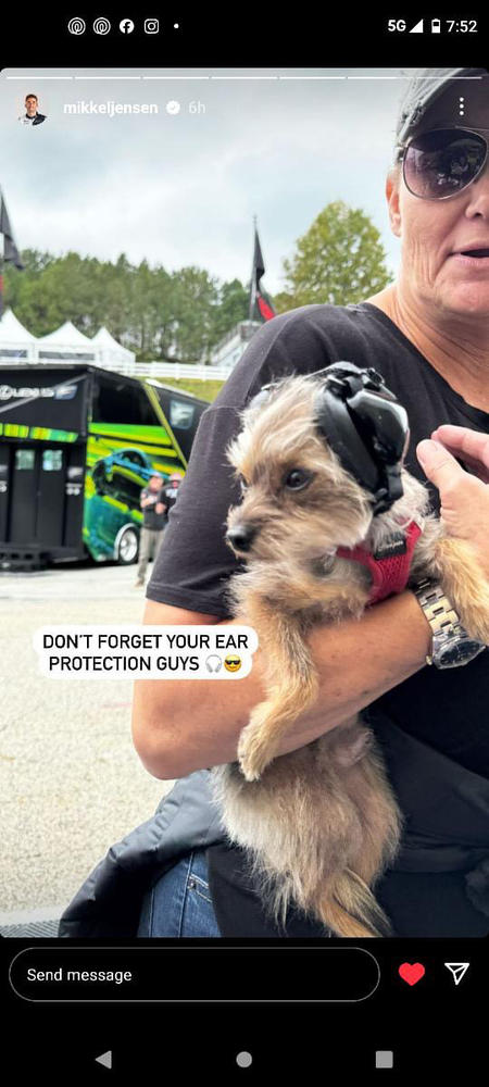 Mutt Muffs for Dogs Dog Ear Muffs Ray Allen Manufacturing