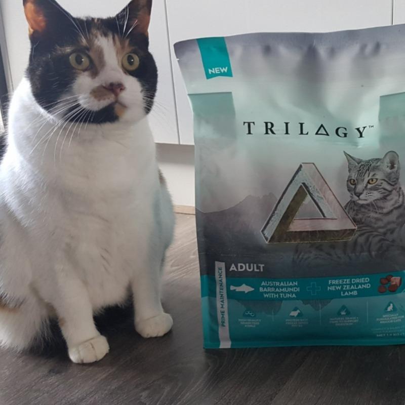 Trilogy Cat Food Reviews Trilogyau