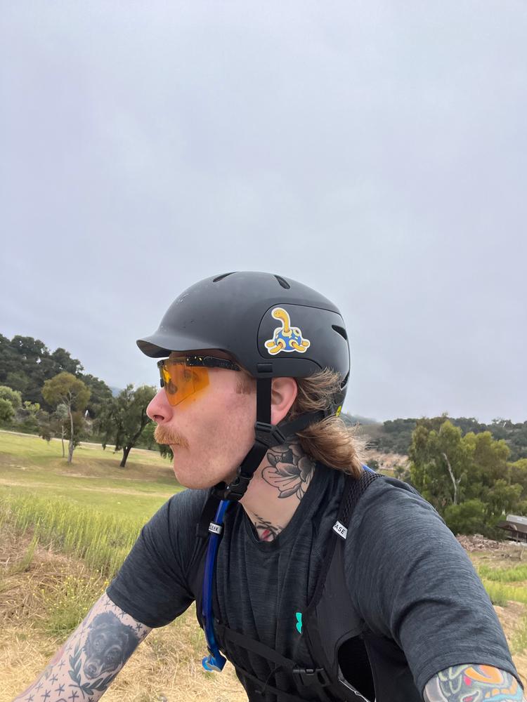 The Watts 2.0 Urban Bike Helmet | Hard Brim | Multi-Sport