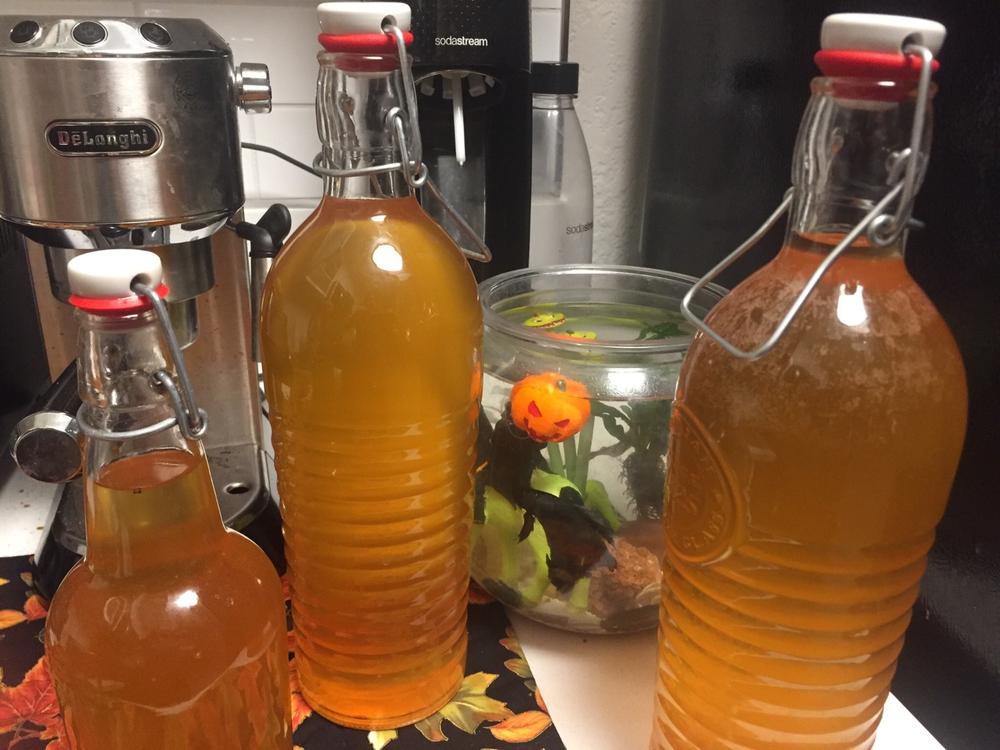 Hard Cider Kit Craft a Brew