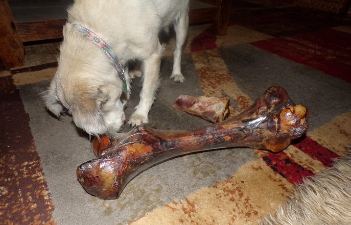 Smoked Bison Dog Bone - Customer Photo From Dennis Allan
