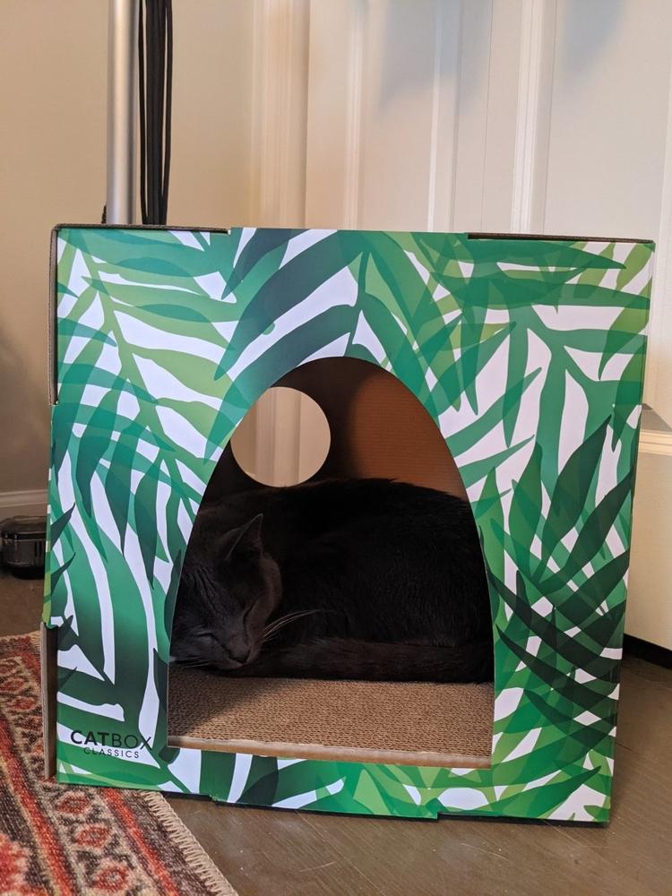 Kitty Jungle Cat House with Scratcher - Customer Photo From Stephanie Blatt