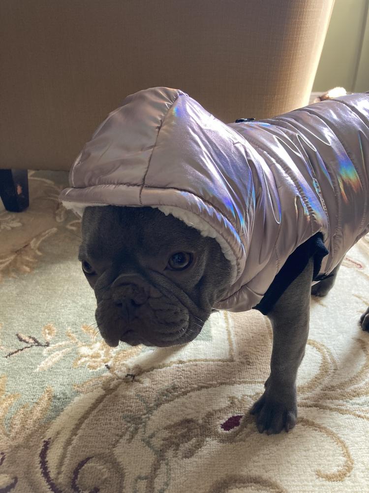 Emma Dog Jacket – Shiny Pink | Water-Resistant & Sherpa