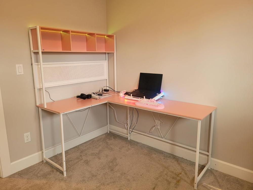 Dowinx FlexDesk L Series Pink - Customer Photo From cassie