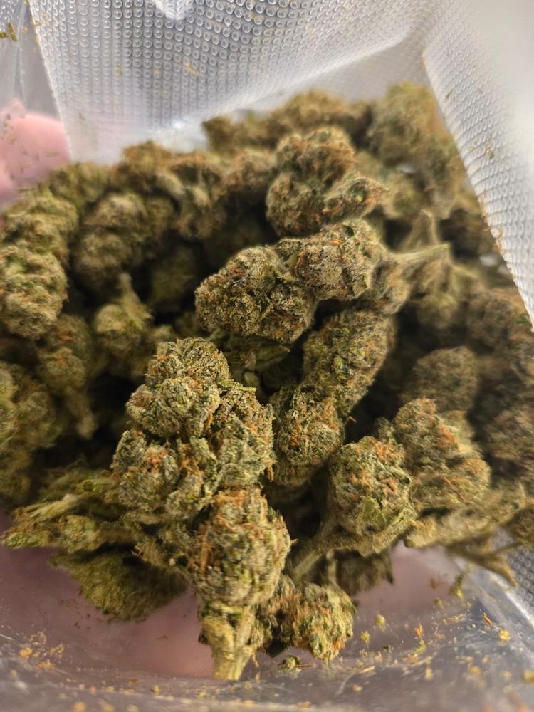 Welcome Sampler Pack - Customer Photo From Anonymous