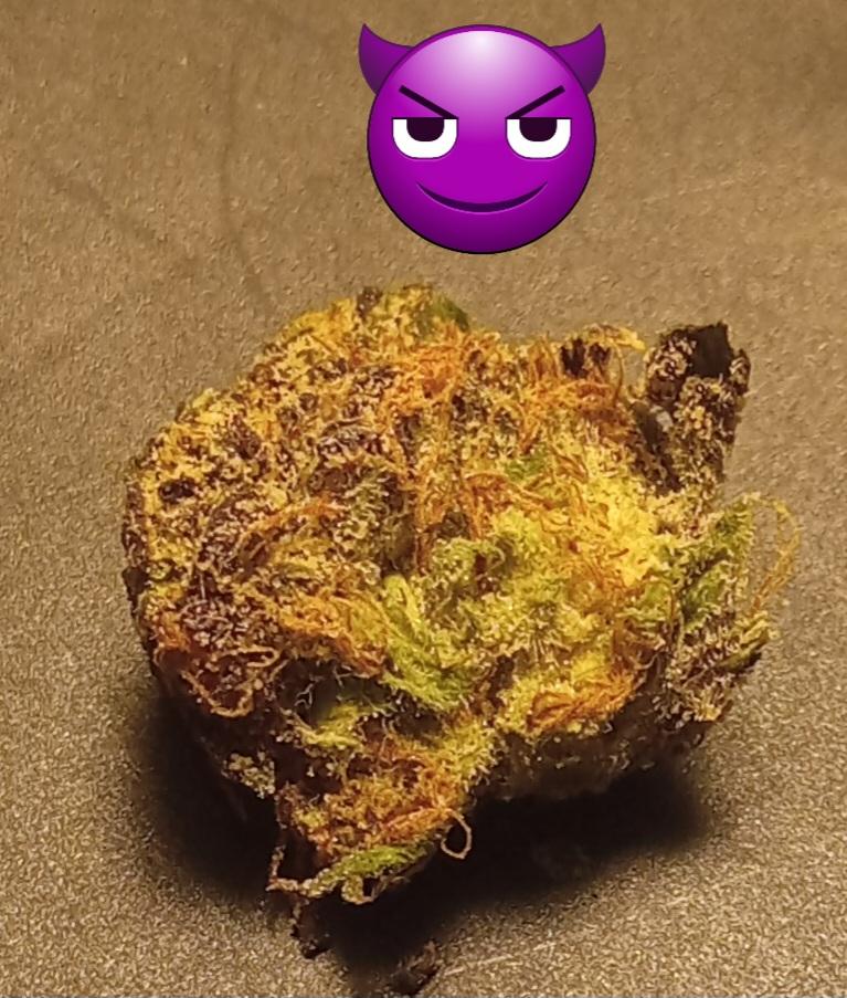 Purple Baby Yoda THCA Flower PL - Customer Photo From Delow