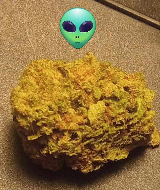 Purple Baby Yoda THCA Flower PL - Customer Photo From Delow