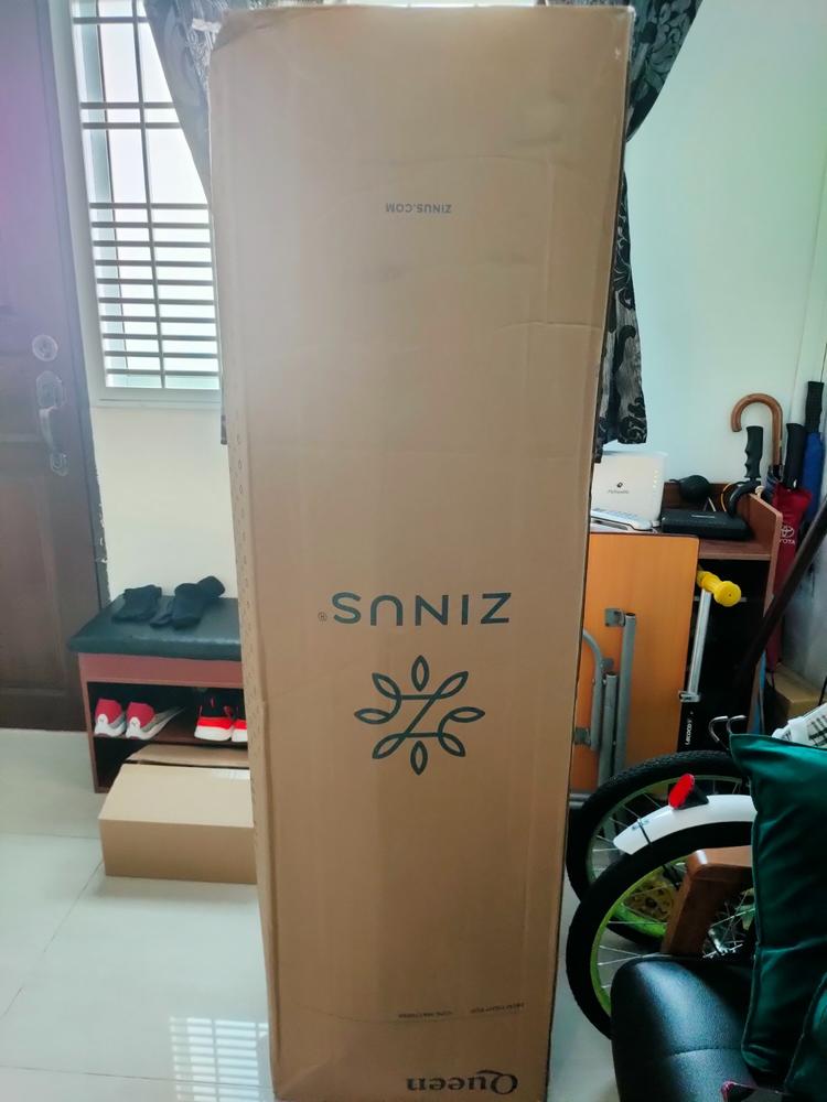 Zinus 25cm Tight Top iCoil® Mattress (10") - Customer Photo From Sam E.
