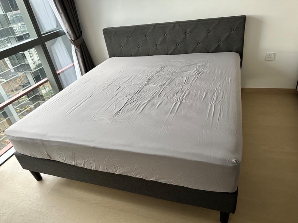 Zinus 25cm Tight Top iCoil® Mattress (10") - Customer Photo From Anonymous