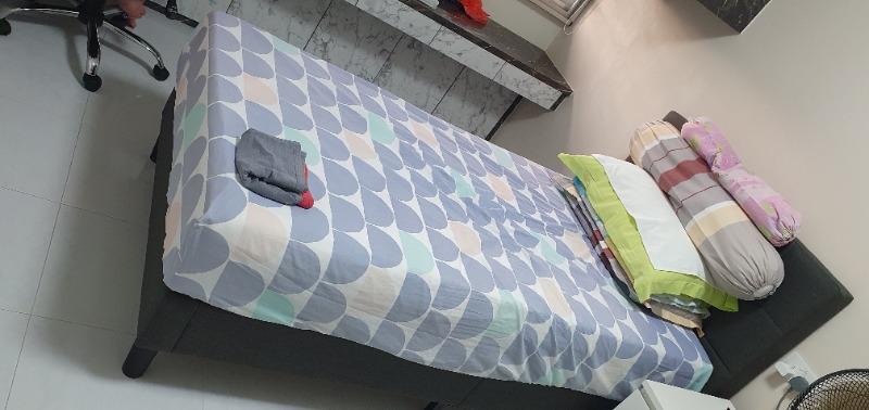 Zinus Lottie Upholstered Platform Bed Frame - Customer Photo From Po L.