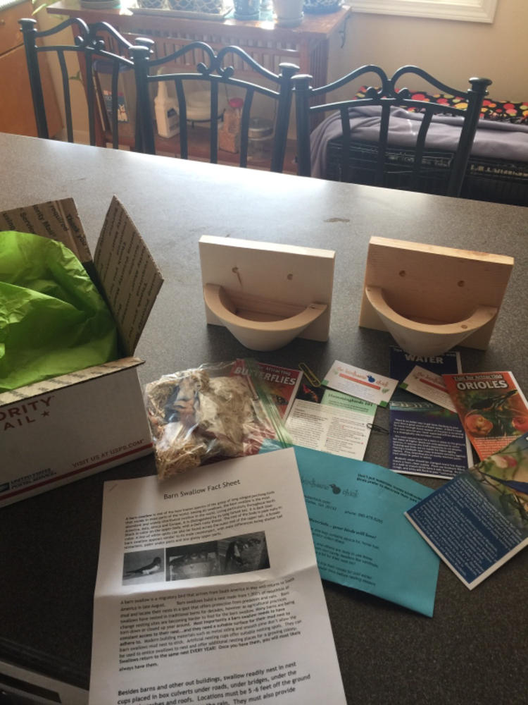 Nest Cups for Barn Swallows Set of 2 The Birdhouse Chick