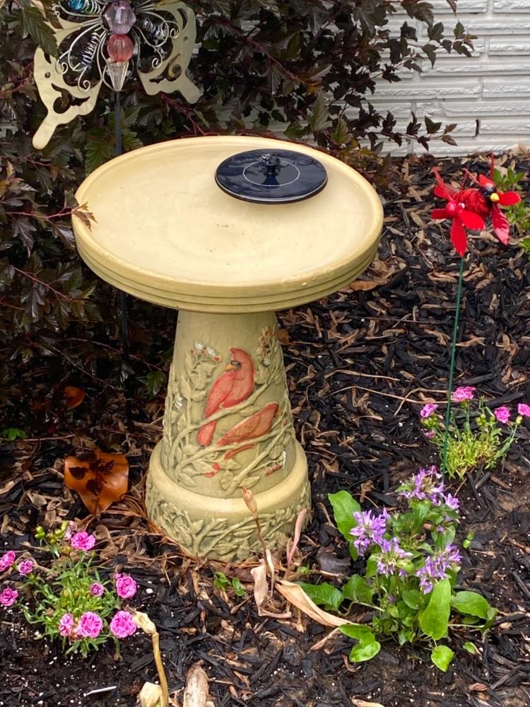 Cardinal Bird Bath with Locking Top The Birdhouse Chick