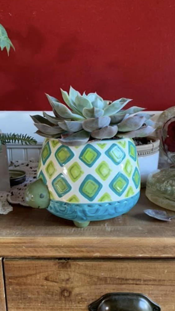 Llama Planter Natural Life