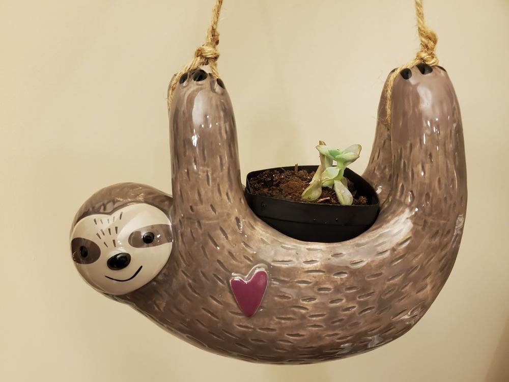 PlanterLlama Natural Life