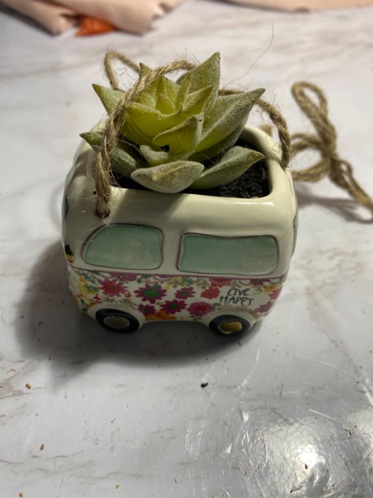 Faux Succulent Car Charm|Van - Customer Photo From Sophia West