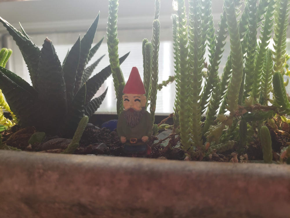Lucky Charm|Gnome - Customer Photo From Lisa Giesbrecht