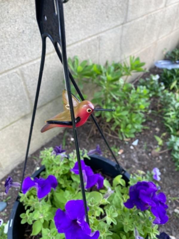 Hanging Hummingbird Set - Customer Photo From Colleen McGarrity
