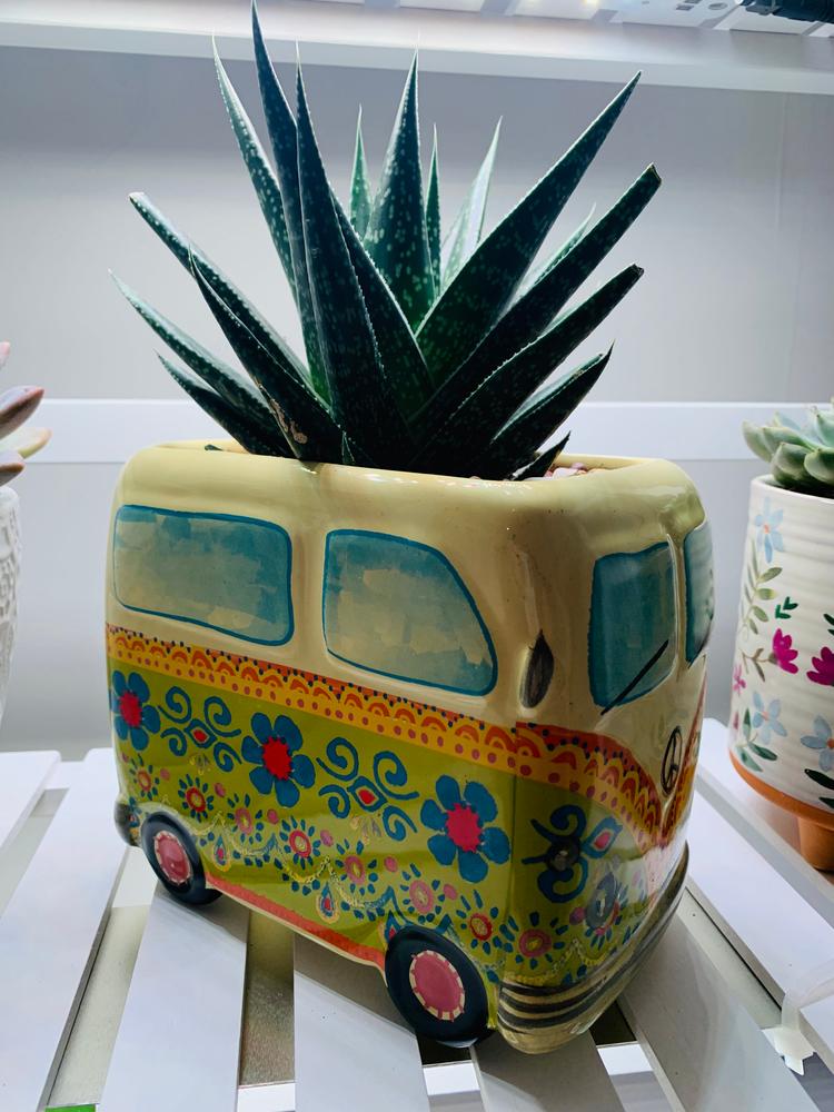 So Cute Ceramic Planter - Daisy The Van - Customer Photo From Kelly
