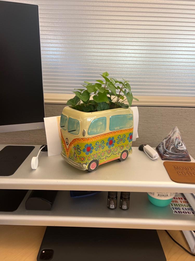 So Cute Ceramic Planter - Daisy The Van - Customer Photo From Angela Lewis