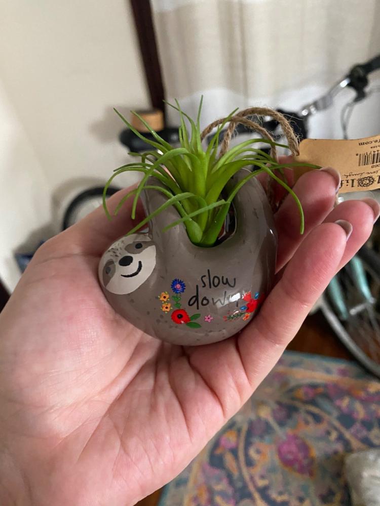 Faux Succulent Car Charm - Grey Sloth - Customer Photo From Evelyn Vera