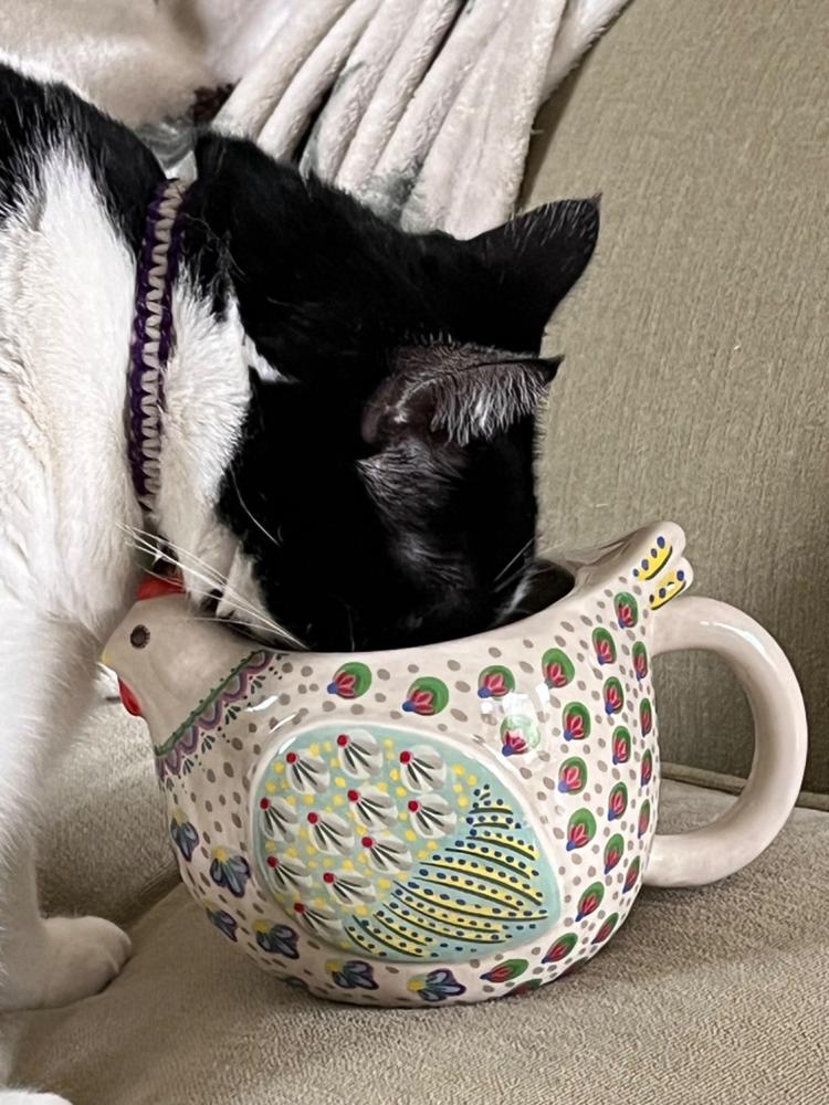 Folk Art Coffee Mug - Penny The Chicken - Customer Photo From Meg Heath