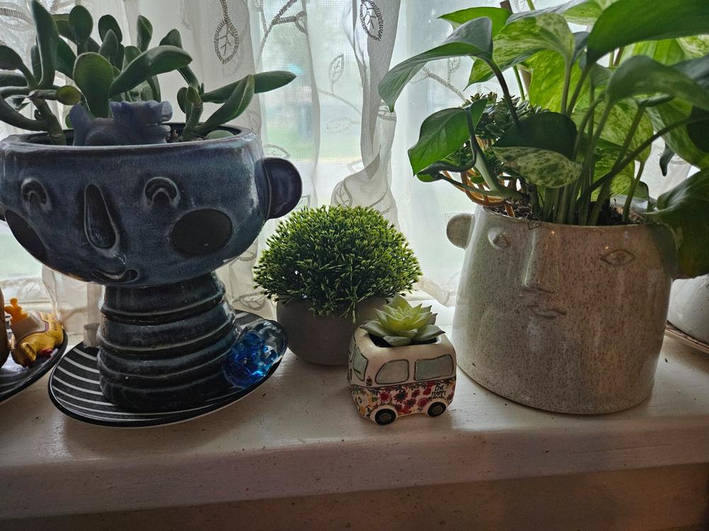 Tiny Faux Succulents - Van - Customer Photo From Carlene Togul