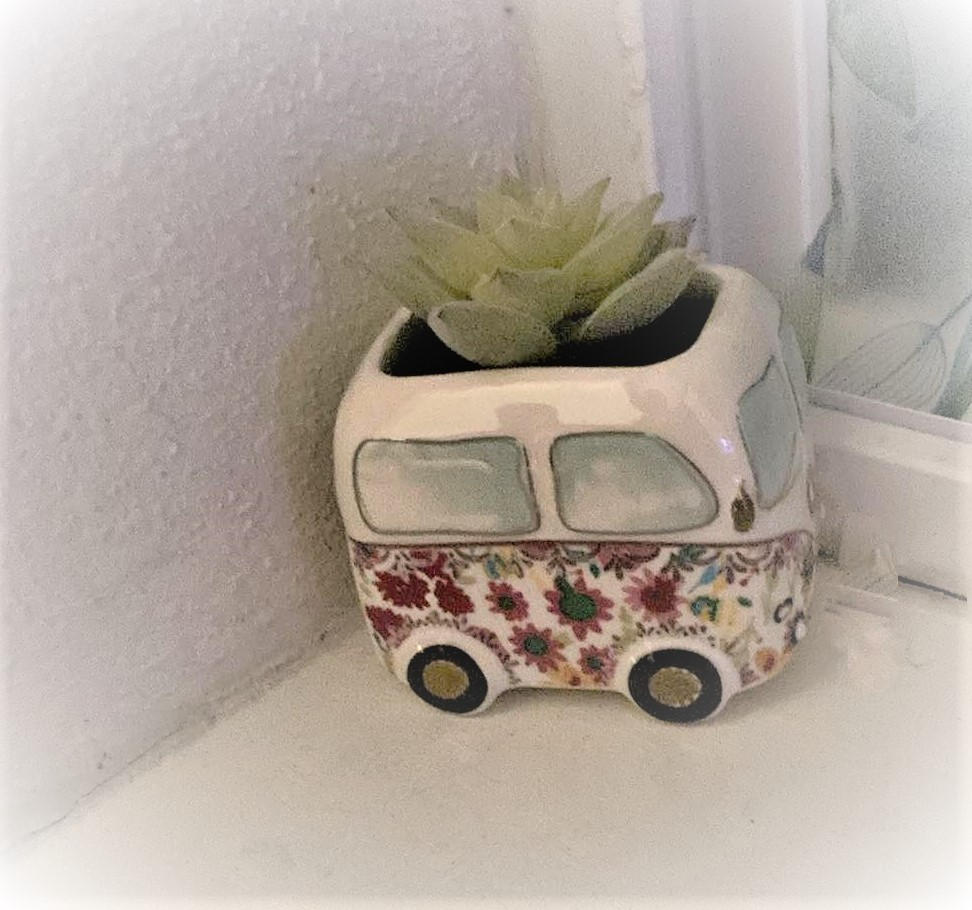 Tiny Faux Succulents - Van - Customer Photo From Holly Anderson