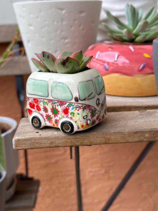 Tiny Faux Succulents - Van - Customer Photo From Gabriela Dominguez