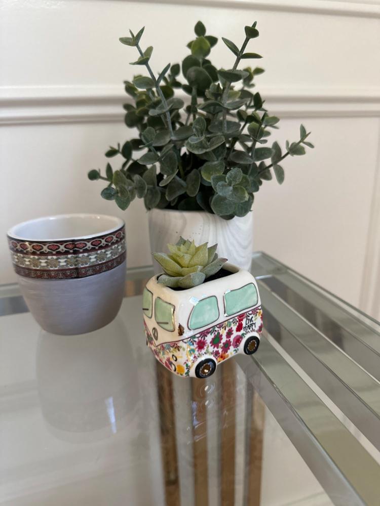 Tiny Faux Succulents - Van - Customer Photo From Melanie Gragnani