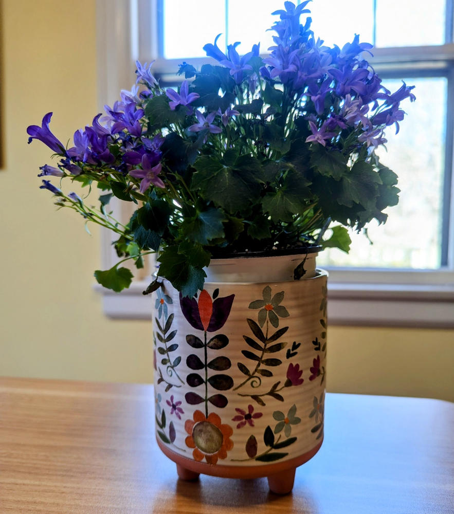 Artisan Terracotta Indoor Planter, Medium - Folk Flower - Customer Photo From Robin Lorenzo