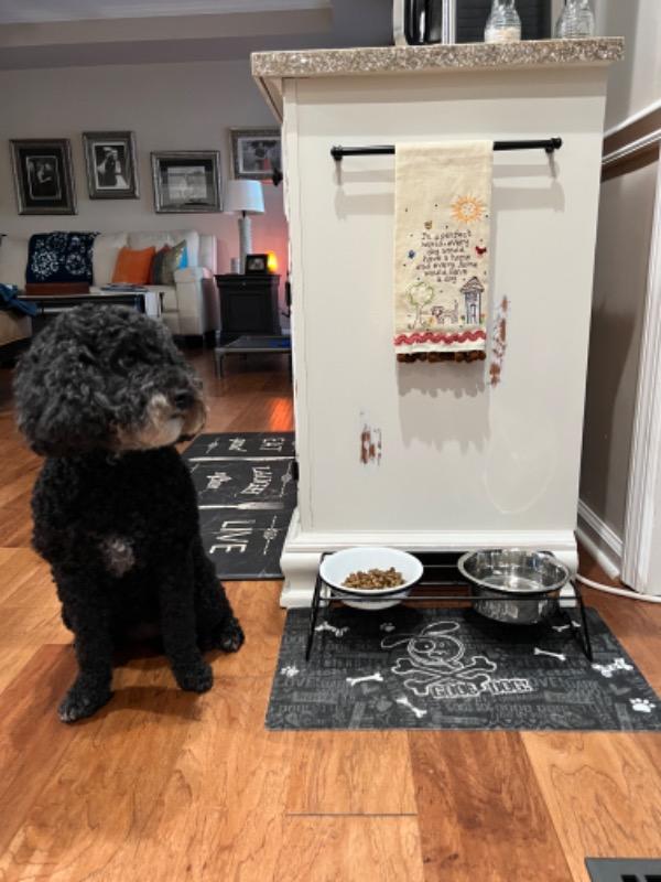 Linen Embroidered Hand Towel - Dog - Customer Photo From Jayme Pierce
