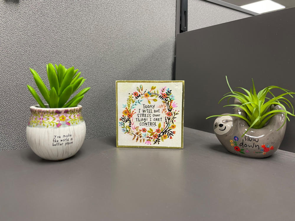 Mini Faux Succulent Plant - World Better - Customer Photo From Mary Nelson