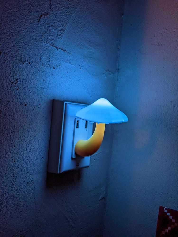 LED Night Light - Mushroom Yellow - Customer Photo From marcy siebersma 